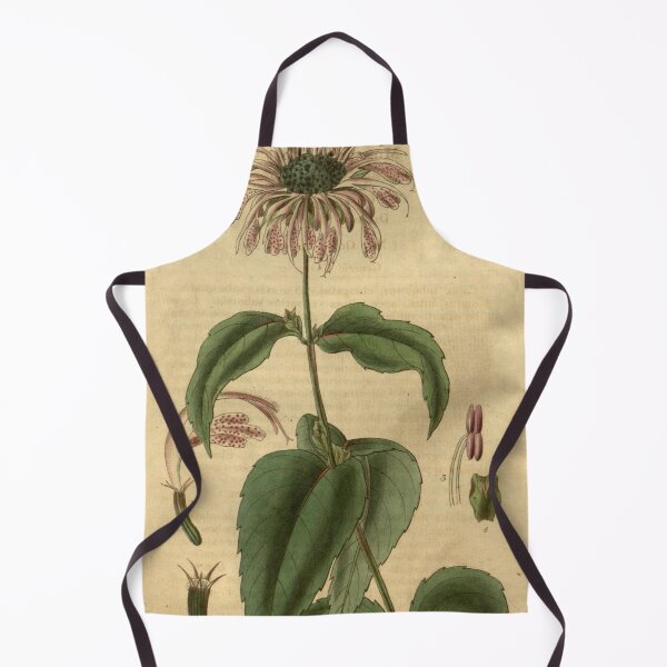 Item preview, Curtis's botanical magazine (Plate 3310) (8202156879) designed and sold by EsotericBotanic.