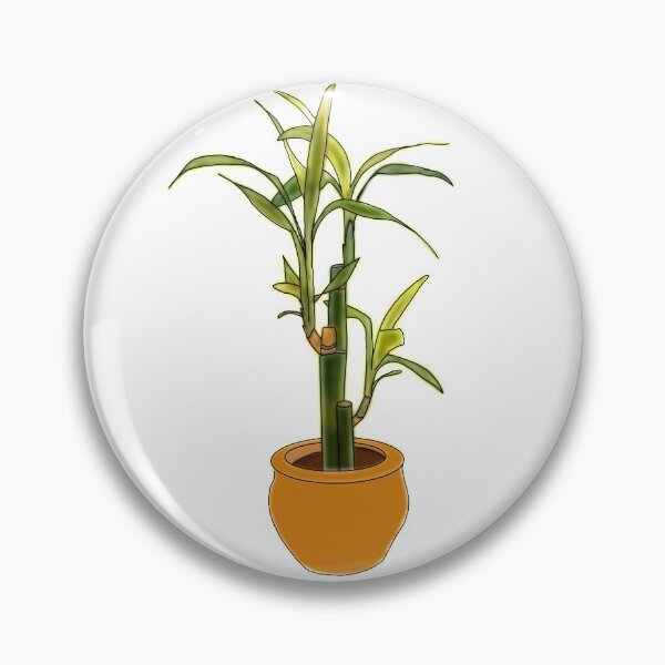 Item preview, Bamboo Plant (Dracaena Sanderiana) designed and sold by Andie Janik.