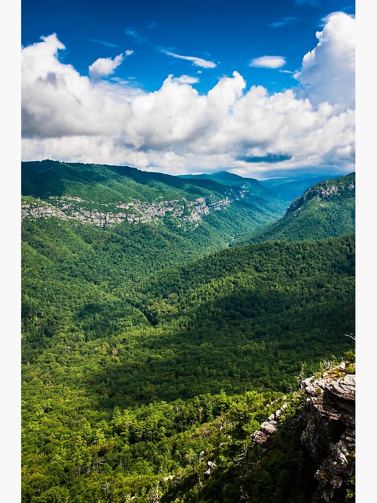 "Linville Wilderness Vertical" Poster for Sale by LucyPogosian