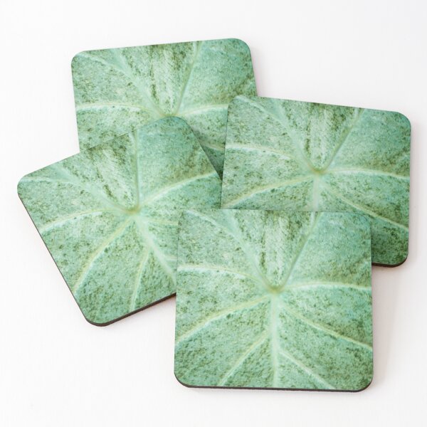 Item preview, Ribs of a Leaf designed and sold by Ollivrosa.