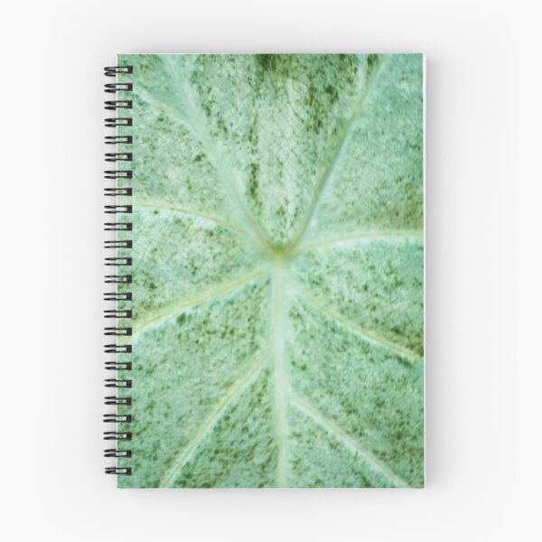 Item preview, Ribs of a Leaf designed and sold by Ollivrosa.
