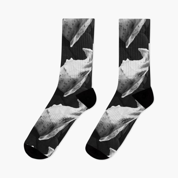 Item preview, Conch 2 (in black and white) designed and sold by TmartUS.