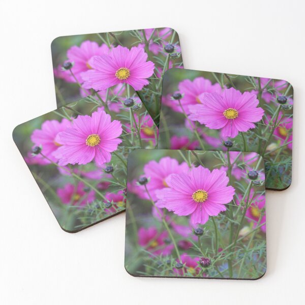 Artikelvorschau, Pink Kosmos Blume entworfen und verkauft von SweepingShadows.