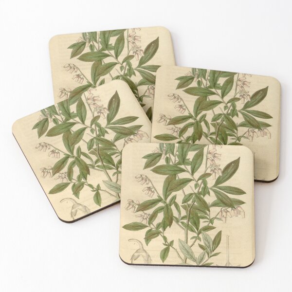 Item preview, Curtis's botanical magazine (Plate 3522) (8043259967) designed and sold by EsotericBotanic.