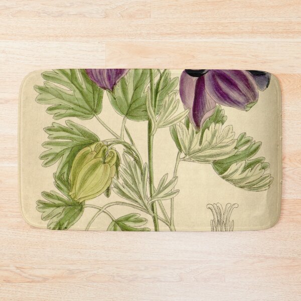 Item preview, Aquilegia alpina 136 8303 designed and sold by EsotericBotanic.