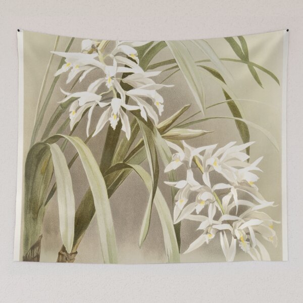 Item preview, Reichenbachia: Orchids Illustrated and Described designed and sold by EsotericBotanic.