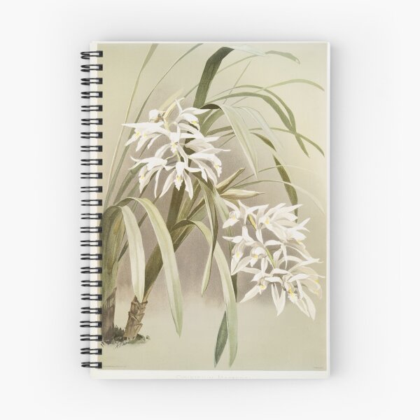 Item preview, Reichenbachia: Orchids Illustrated and Described designed and sold by EsotericBotanic.