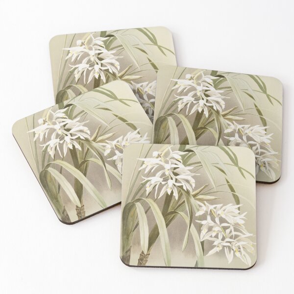 Item preview, Reichenbachia: Orchids Illustrated and Described designed and sold by EsotericBotanic.