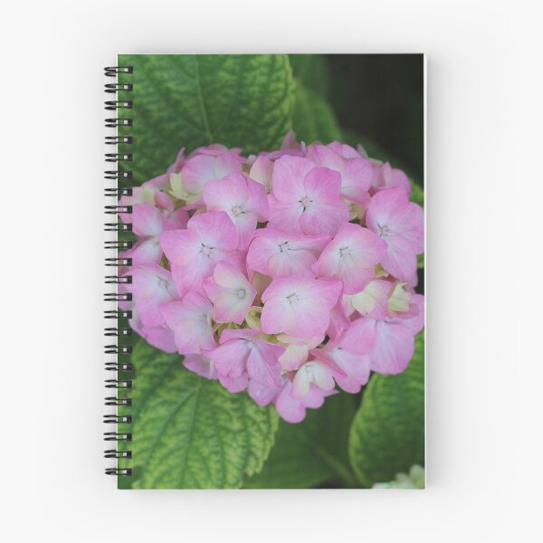 Item preview, Pink Hydrangea designed and sold by SweepingShadows.