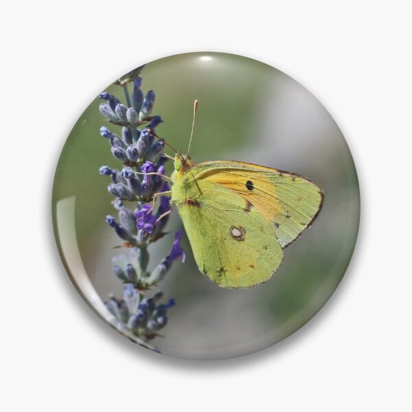 Item preview, Clouded Yellow Butterfly On Lavender designed and sold by SweepingShadows.
