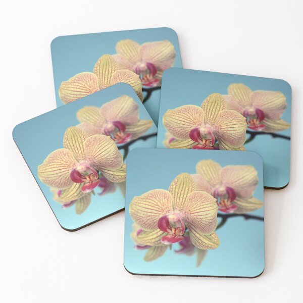 Item preview, Orchids designed and sold by SweepingShadows.