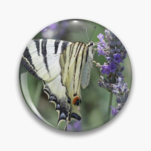 Item preview, Scarce Swallowtail On Lavender designed and sold by SweepingShadows.