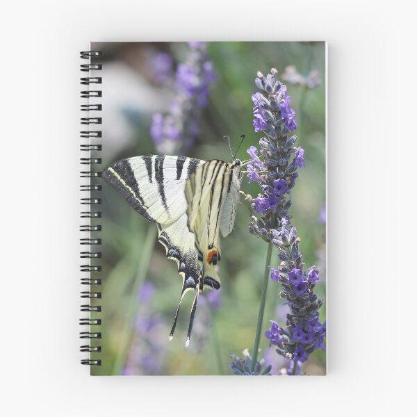 Item preview, Scarce Swallowtail On Lavender designed and sold by SweepingShadows.