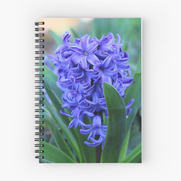 Item preview, Flores de jacinto violeta designed and sold by SweepingShadows.