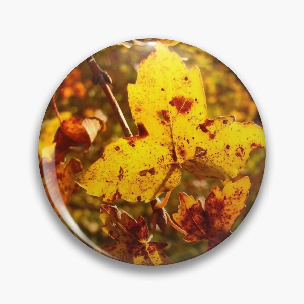 Aperçu de l'œuvre Automne coloré créée et vendue par SweepingShadows.