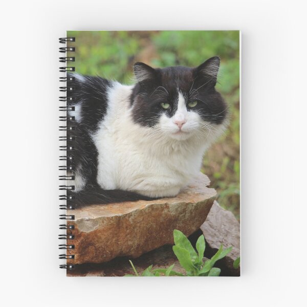 Item preview, Tuxedo Cat Portrait designed and sold by SweepingShadows.