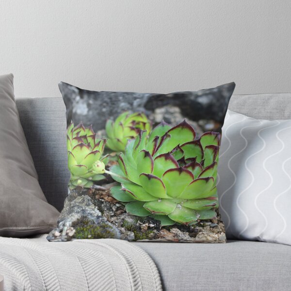 Item preview, Houseleek designed and sold by SweepingShadows.