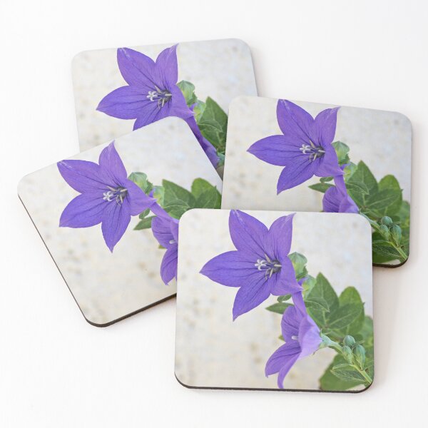 Item preview, Balloon Flower designed and sold by SweepingShadows.
