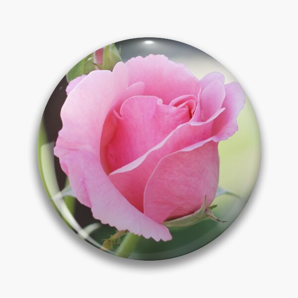 Artikelvorschau, Rosa Rosenknospe entworfen und verkauft von SweepingShadows.