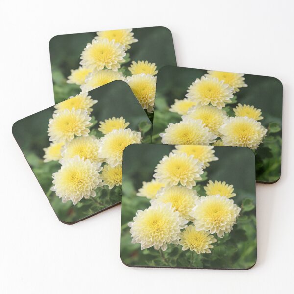 Item preview, Yellow Chrysanthemum Flowers designed and sold by SweepingShadows.