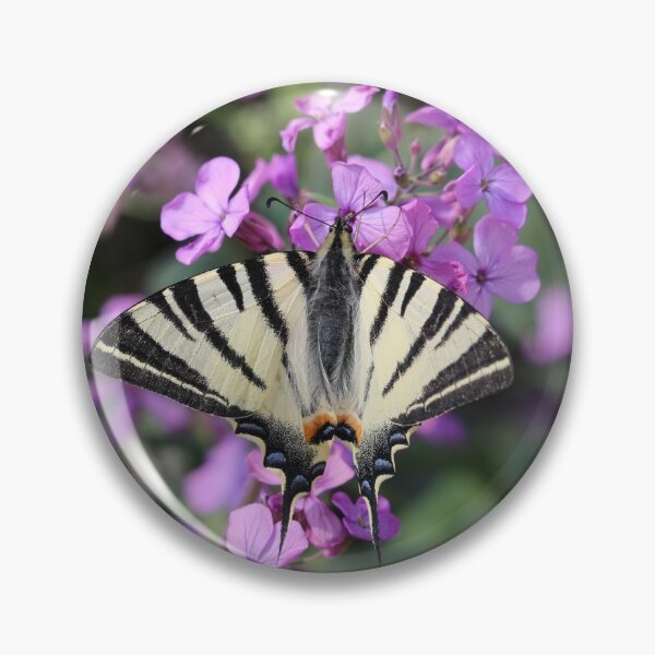 Item preview, Scarce Swallowtail On Pink Flowers designed and sold by SweepingShadows.
