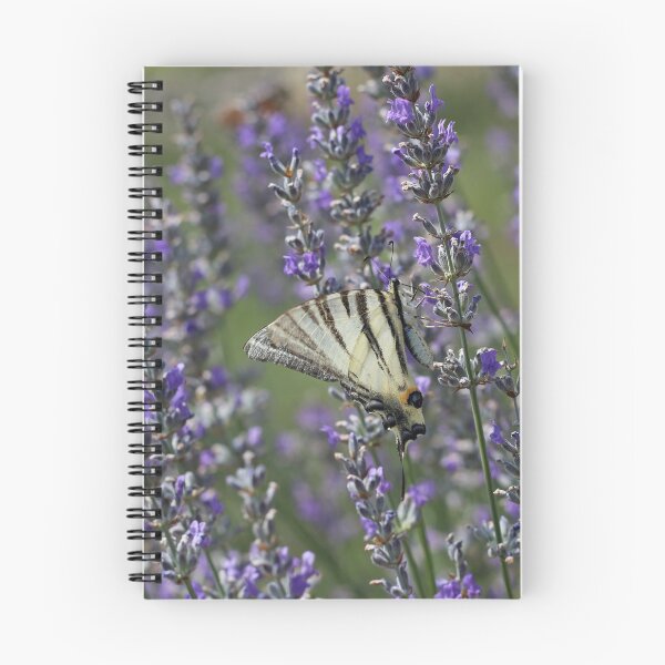 Item preview, Scarce Swallowtail On Lavender designed and sold by SweepingShadows.
