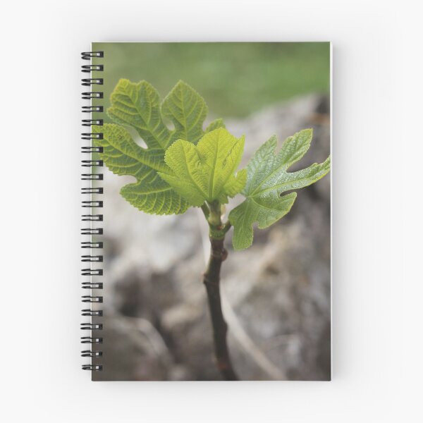 Item preview, Fig Leaves designed and sold by SweepingShadows.