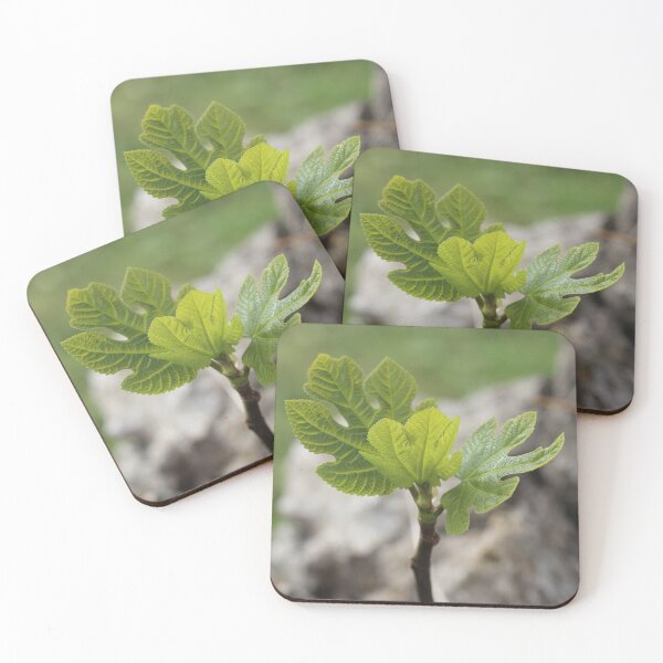 Item preview, Fig Leaves designed and sold by SweepingShadows.