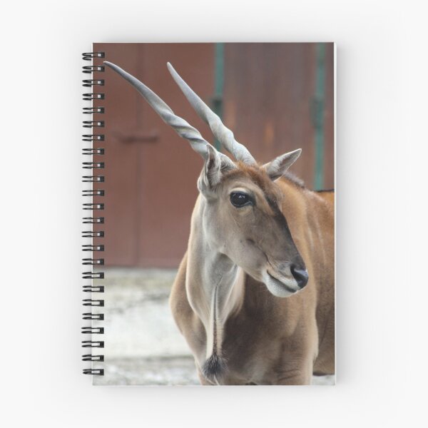 Artikelvorschau, Eland Antilope entworfen und verkauft von SweepingShadows.
