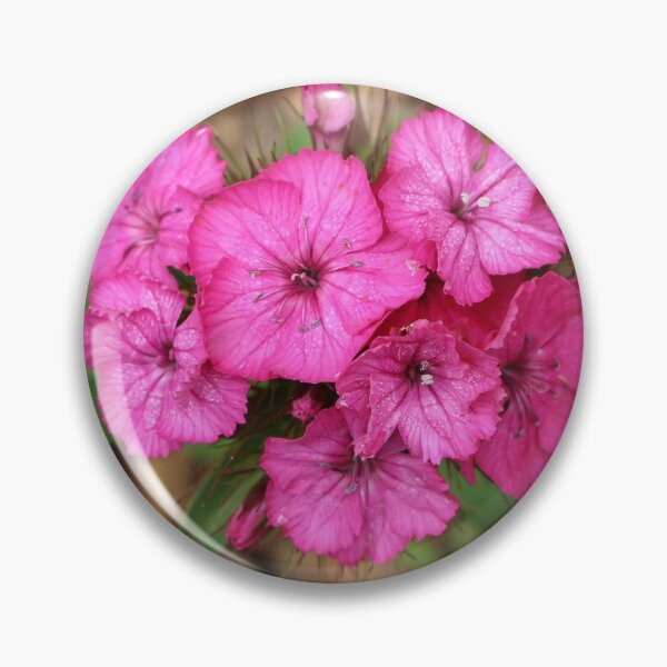 Item preview, Hot Pink Turkish Carnation Flowers designed and sold by SweepingShadows.