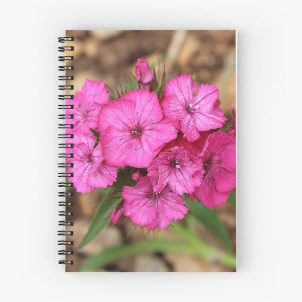 Item preview, Hot Pink Turkish Carnation Flowers designed and sold by SweepingShadows.