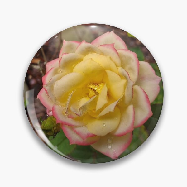 Item preview, Rose designed and sold by baimonkey.