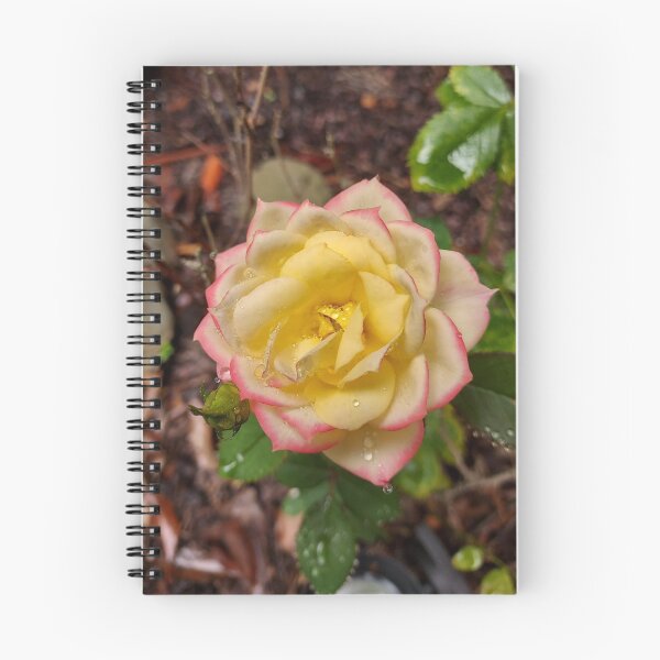 Item preview, Rose designed and sold by baimonkey.