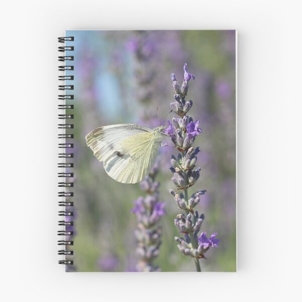 Item preview, Mariposa de repollo sobre lavanda designed and sold by SweepingShadows.