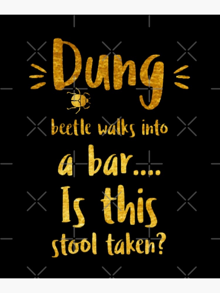 Hilarious Is This Stool Taken ? Dung Beetle Hilarious Is This Stool Taken ? Dung Beetle