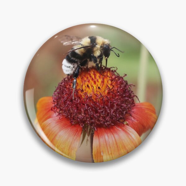 Item preview, Bumblebee On Blanket Flower designed and sold by SweepingShadows.