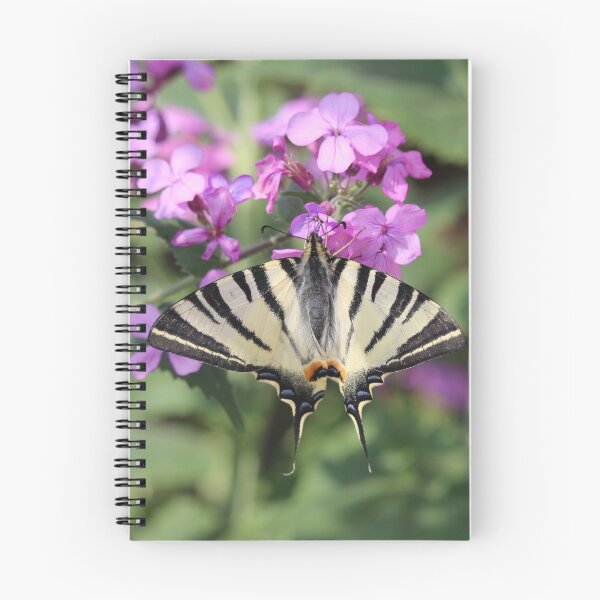 Item preview, Swallowtail Butterfly On Money Flower designed and sold by SweepingShadows.