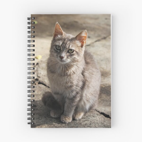 Item preview, Silver Tabby Kitten designed and sold by SweepingShadows.