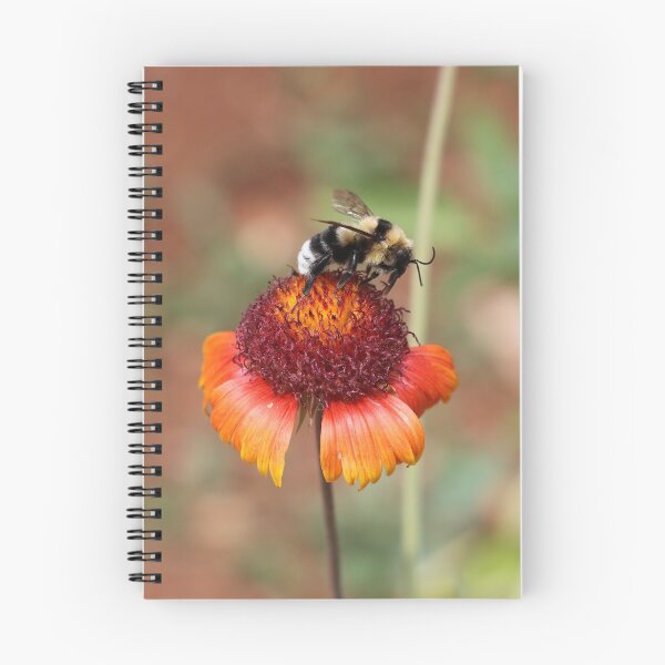 Item preview, Bumblebee On Blanket Flower designed and sold by SweepingShadows.
