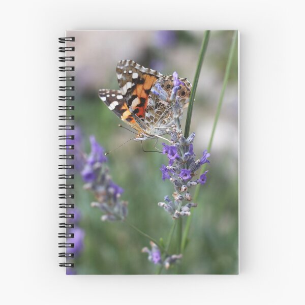 Aperçu de l'œuvre Papillon Dame peinte sur lavande créée et vendue par SweepingShadows.