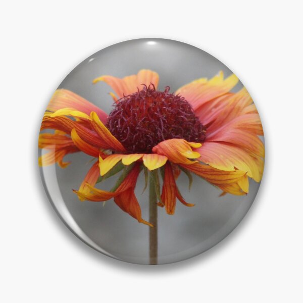 Item preview, Blanket Flower designed and sold by SweepingShadows.