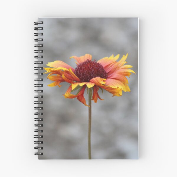 Item preview, Blanket Flower designed and sold by SweepingShadows.