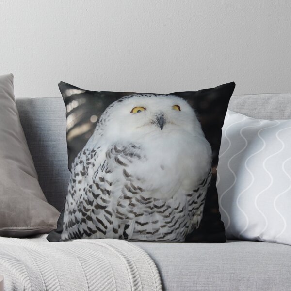 Item preview, Buho Nevado designed and sold by SweepingShadows.