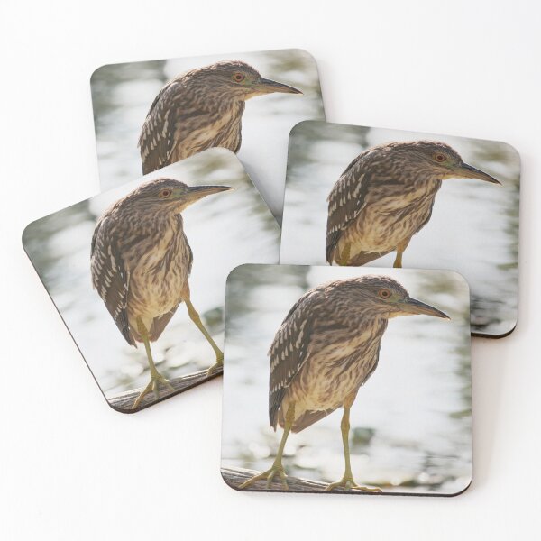 Item preview,  Black-crowned Night-Heron designed and sold by SweepingShadows.