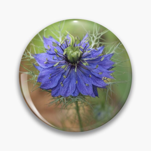 Item preview, Flor de dama harapienta azul designed and sold by SweepingShadows.