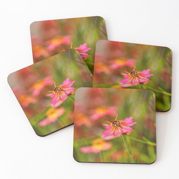 Item preview, Rum Punch Plant Coreopsis Whispers Summer designed and sold by Joy Watson - Natural Light Photography .