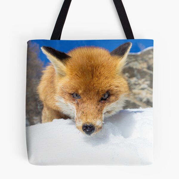 Item preview, red fox staring designed and sold by pietrofoto.