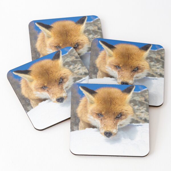 Item preview, red fox staring designed and sold by pietrofoto.