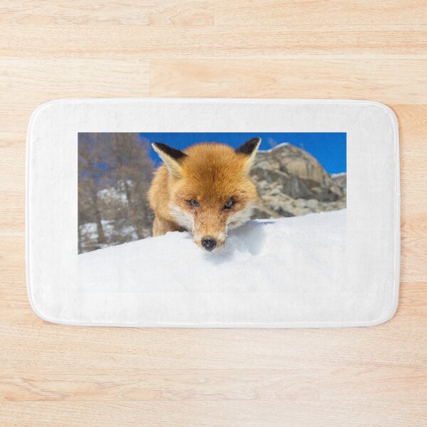 Item preview, red fox staring designed and sold by pietrofoto.