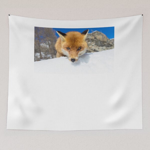 Item preview, red fox staring designed and sold by pietrofoto.